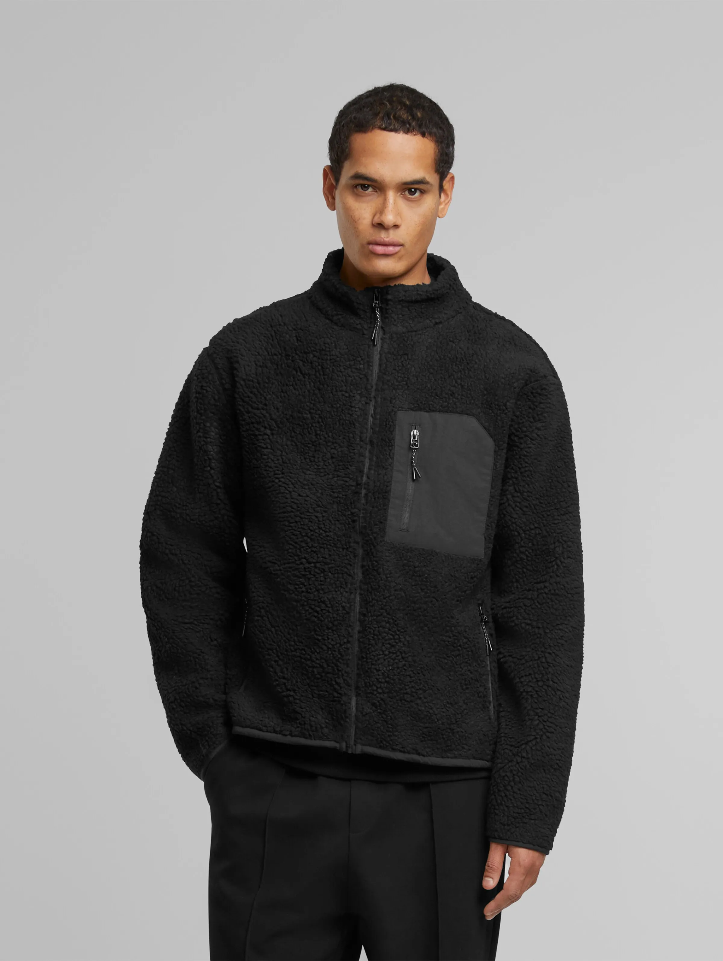 Another Cotton Lab Lab Sherpa
