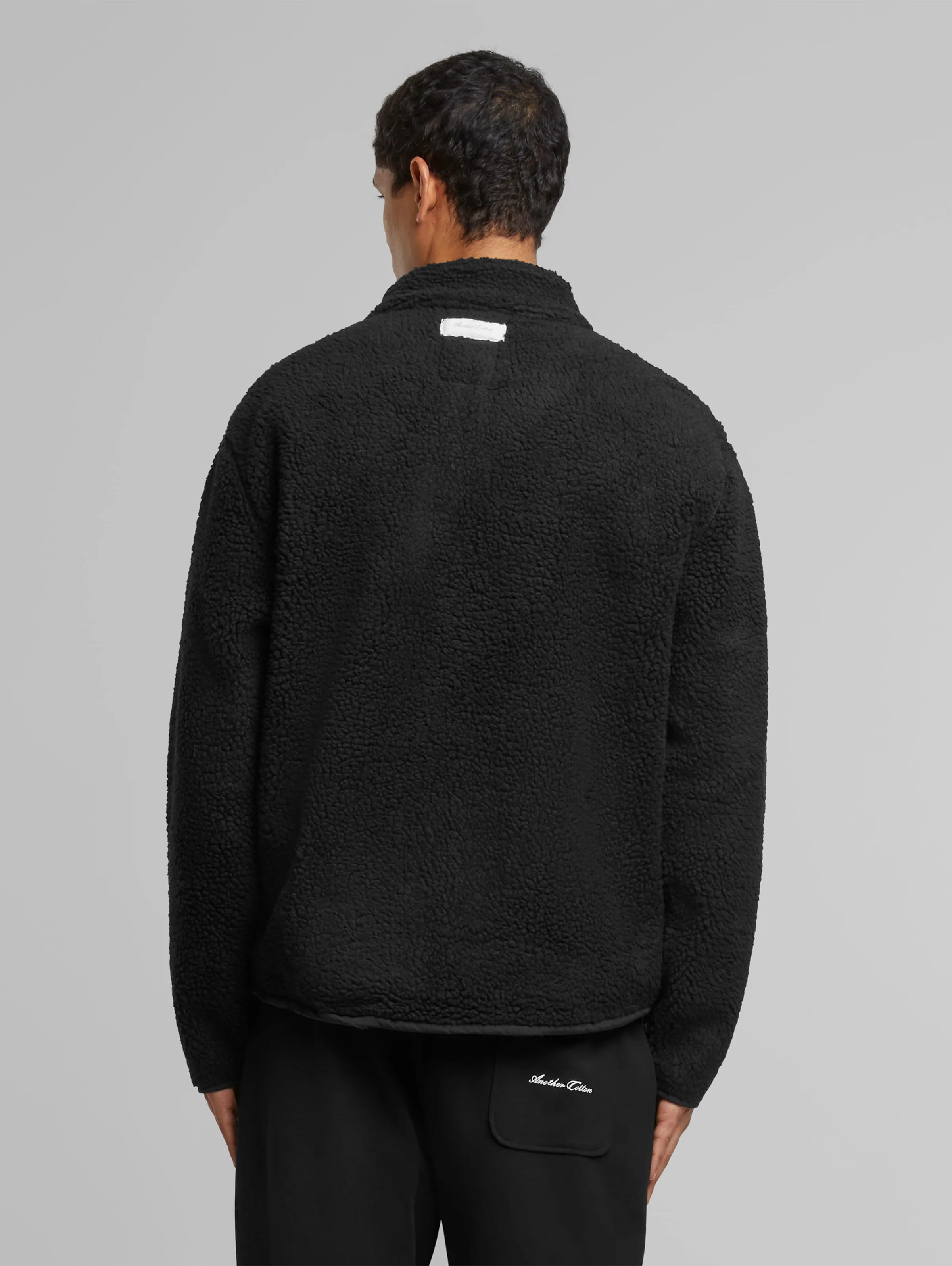 Another Cotton Lab Lab Sherpa