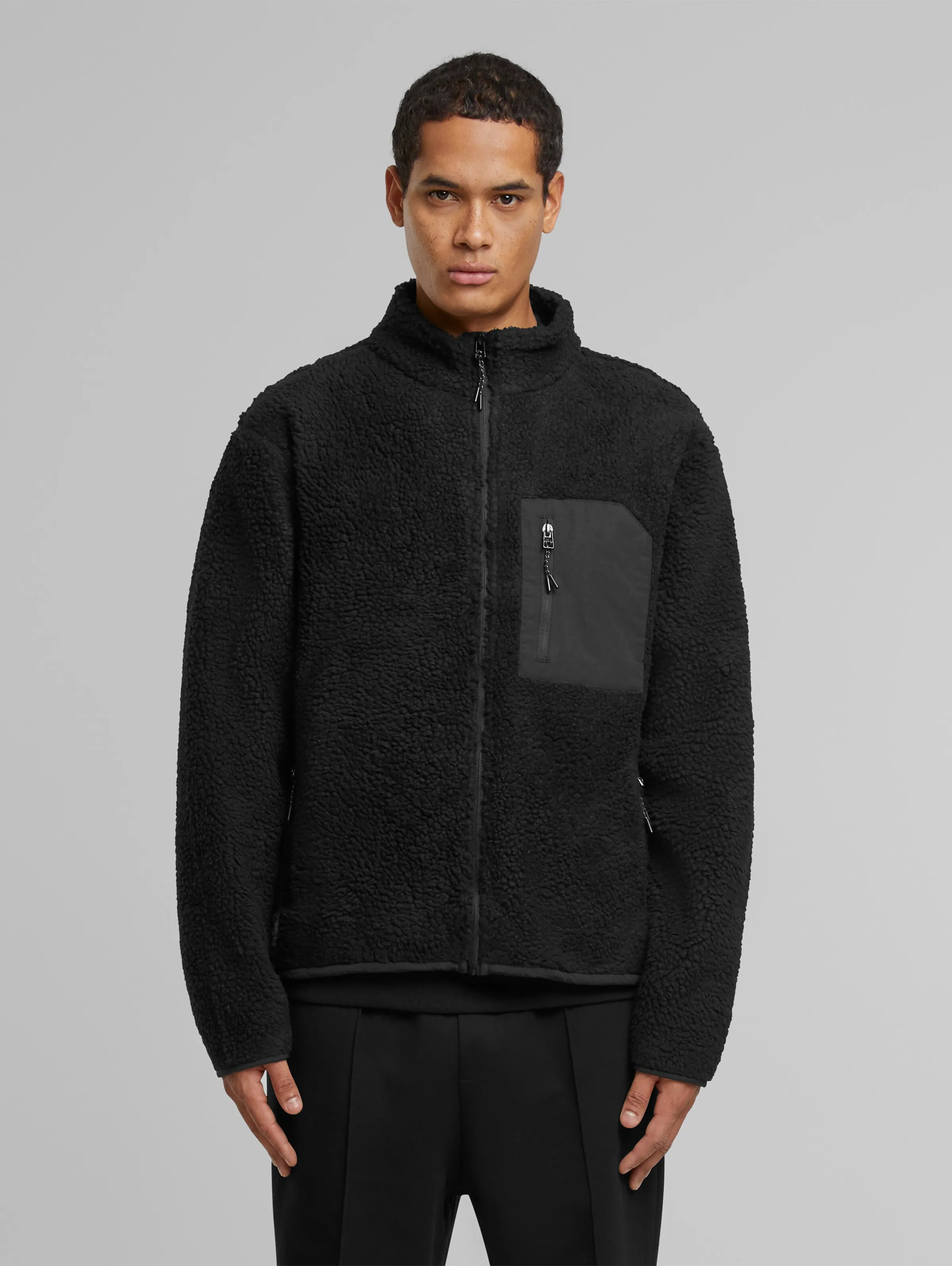 Another Cotton Lab Lab Sherpa
