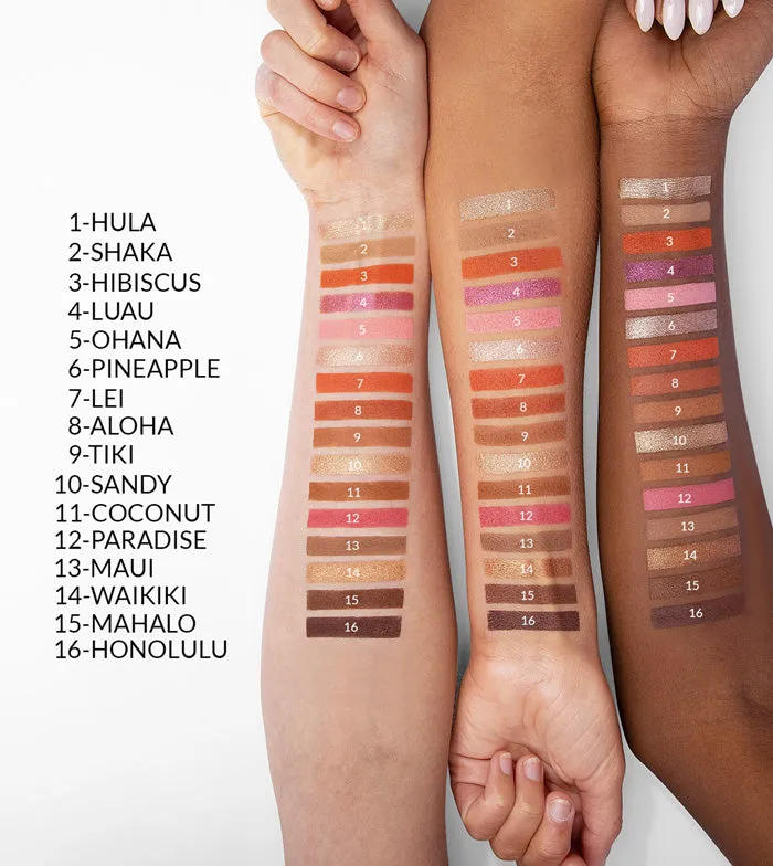 BH COSMETICS  *TRAVEL SERIES*  PALETA DE SOMBRAS  HANGIN' IN HAWAII